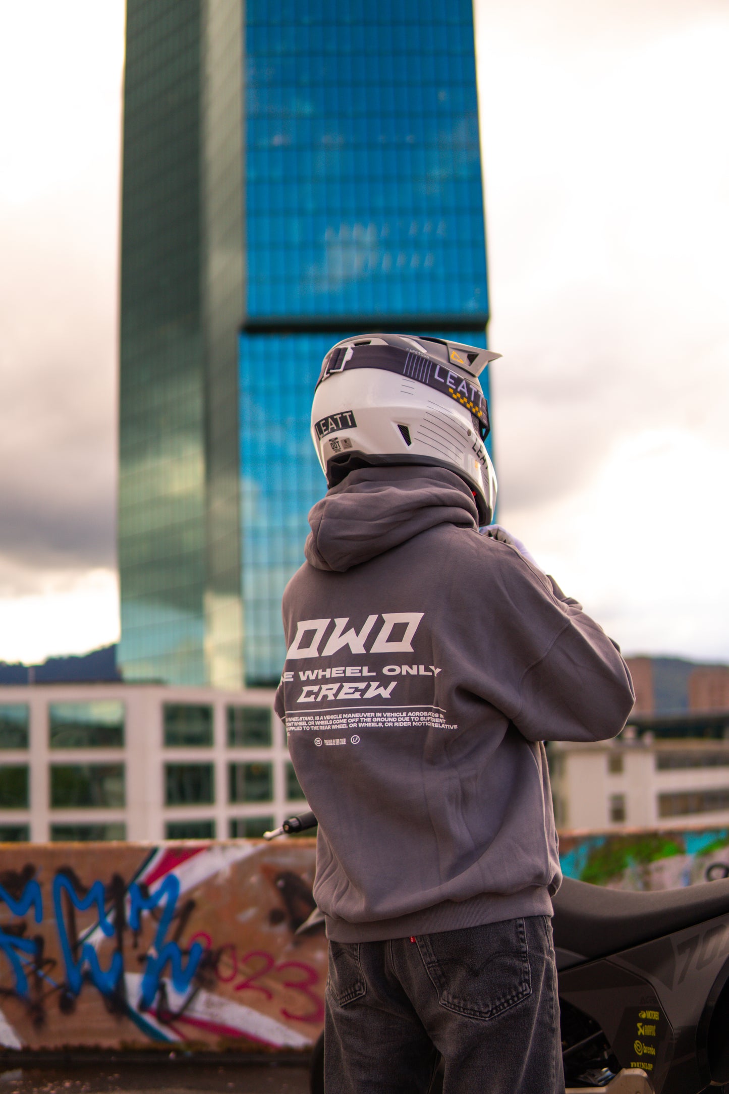 OWO-Hoodie Grau